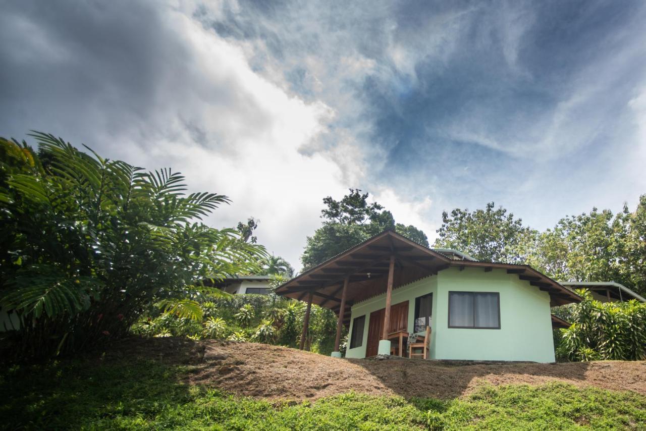 Ballena Paraiso Lodge Uvita Luaran gambar