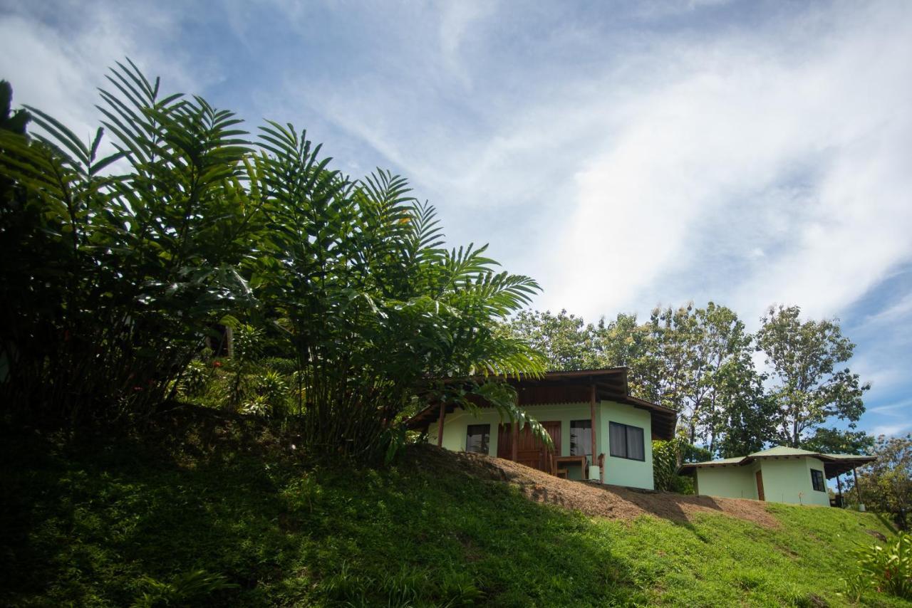 Ballena Paraiso Lodge Uvita Luaran gambar