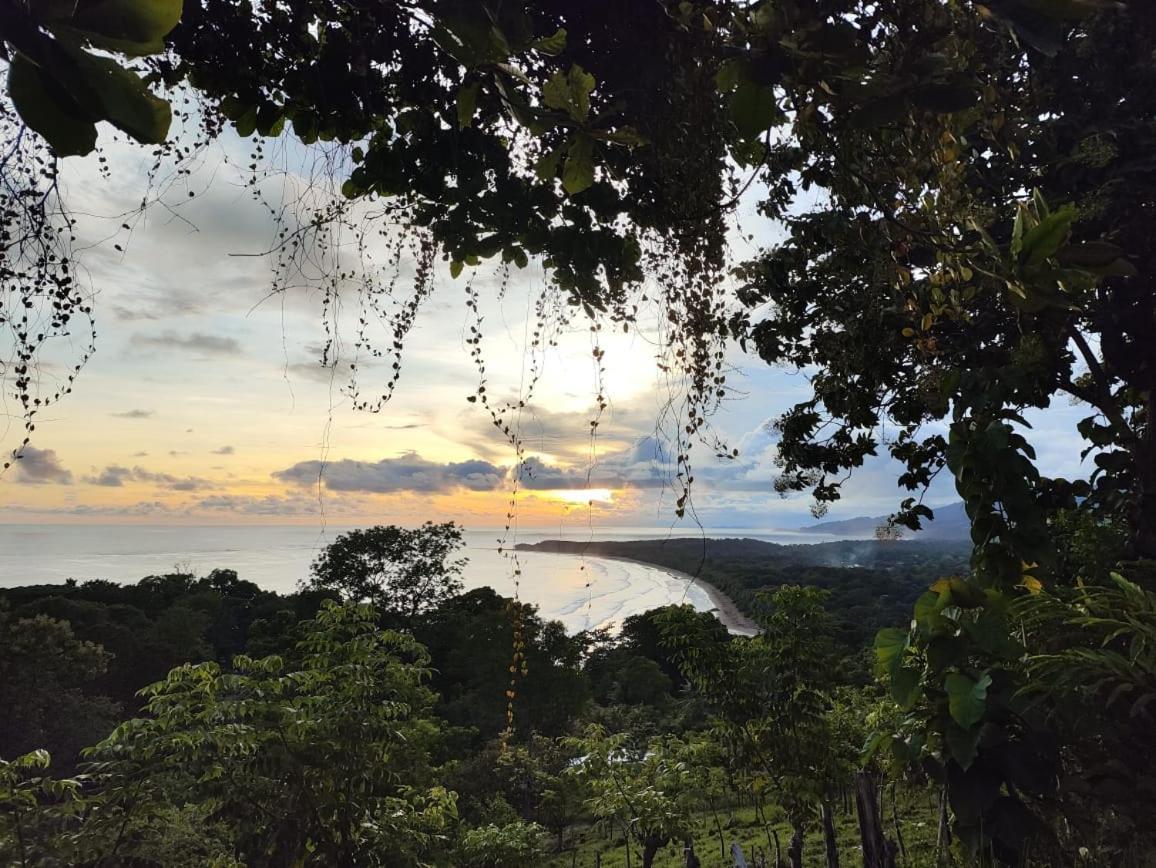 Ballena Paraiso Lodge Uvita Luaran gambar